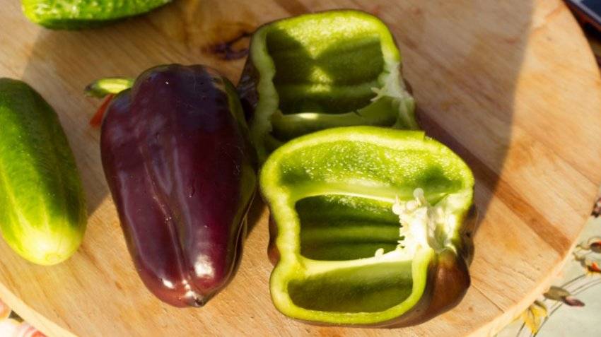 Почему у перца фиолетовые листья - ошибки и секреты выращивания здорового перца своими руками (120 фото и видео)