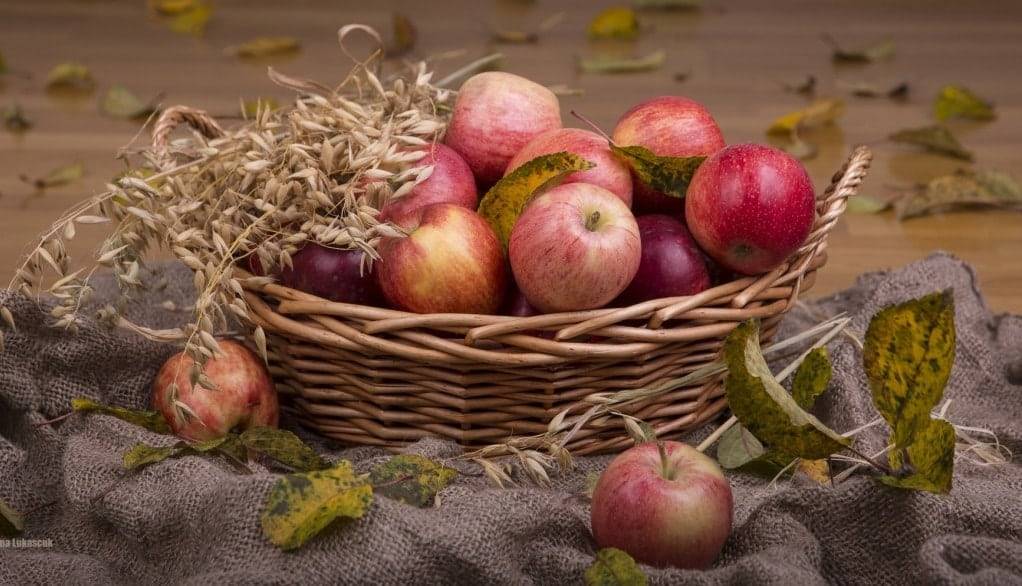Сколько калорий в яблоке или как не поправиться на яблочной диете