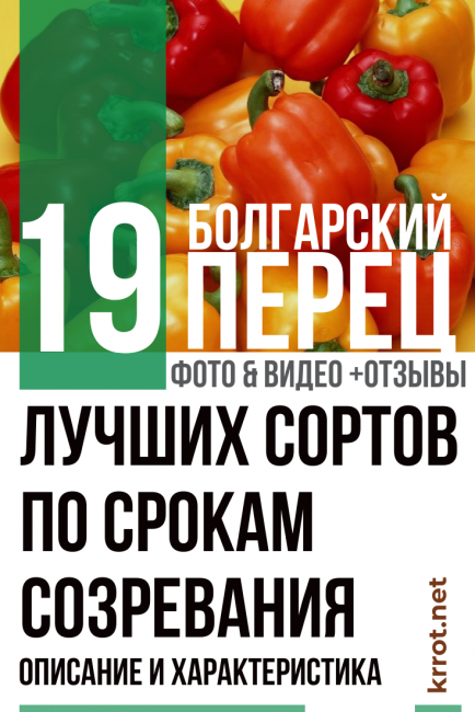 Описание перца «подарок молдовы»: чем хорош сорт и как правильно его выращивать