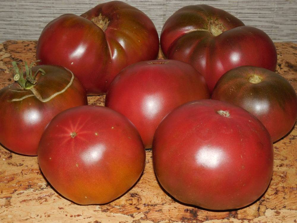Сорт томатов черный крым
