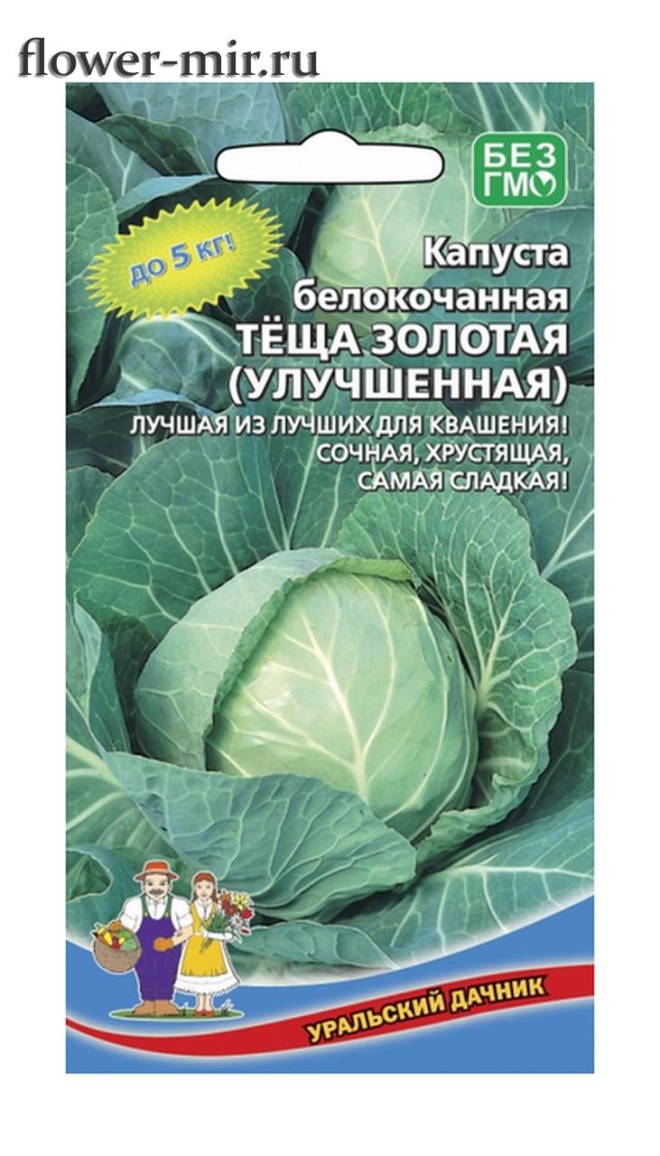 Описание капусты теща - дневник садовода semena-zdes.ru