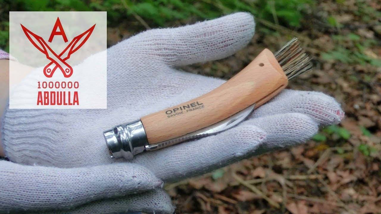 Как правильно собирать грибы: срезать ножом или выкручивать с корнем