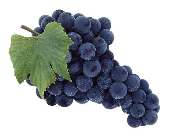 Цимлянский чёрный — традиционный сорт для донского виноделия