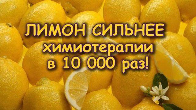 Замороженный лимон: польза и вред чудодейственного продукта, убивающего раковые клетки, а также как применить его свойства и принимать фрукт во благо здоровью?дача эксперт