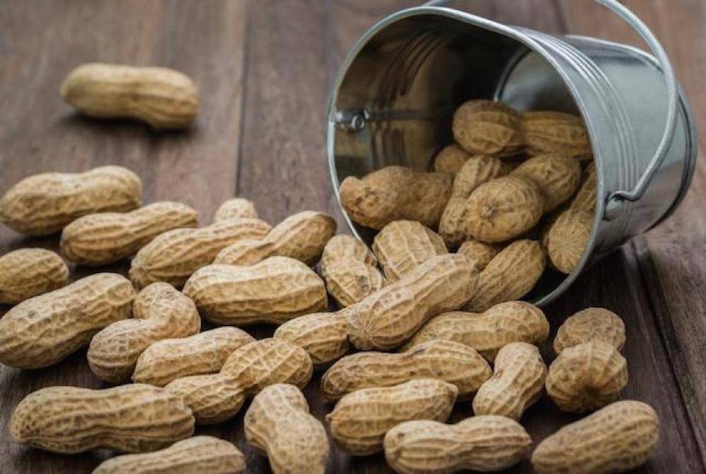 Как вырастить арахис на даче: полезные свойства и противопоказания