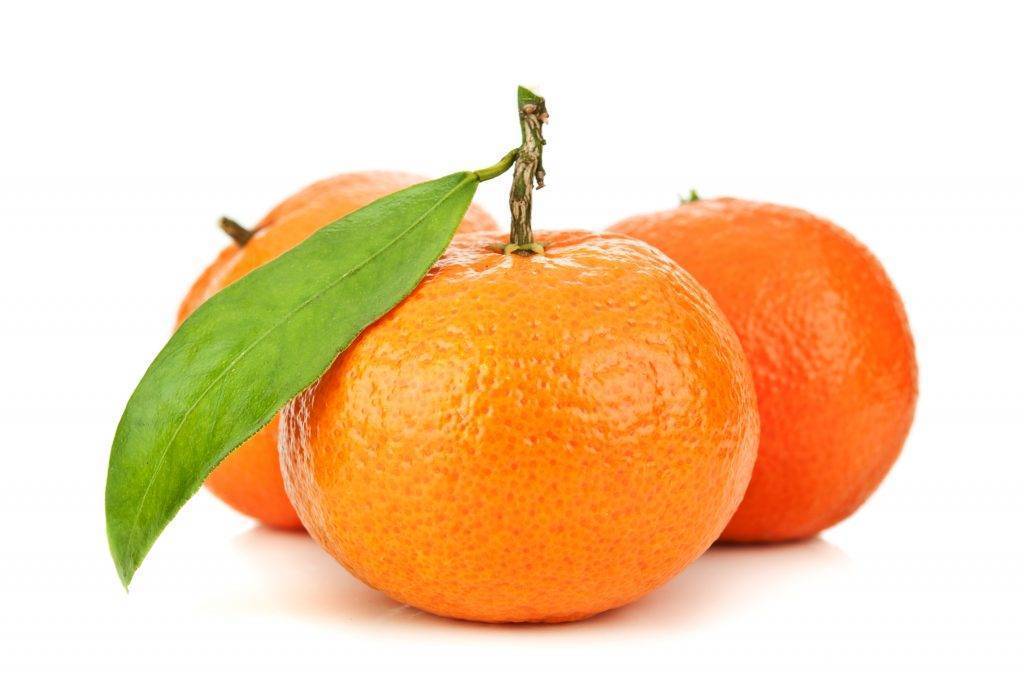 Мандарин польза и вред - витамины в корке мандарина