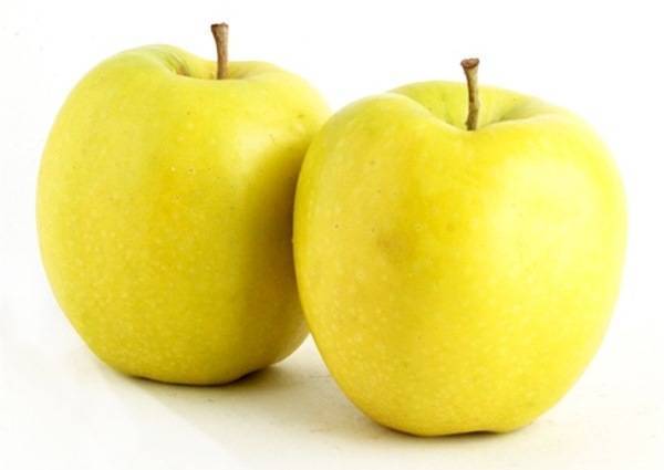 Голден делишес: плюсы и минусы сорта яблони