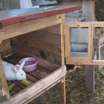 Самостоятельно сооружаем кроликам ясли для сена