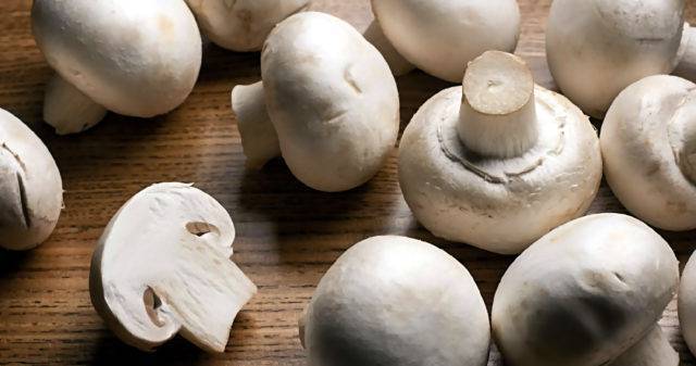 Можно ли грибы при грудном вскармливании: польза, вред и меры предосторожности (+21 фото)