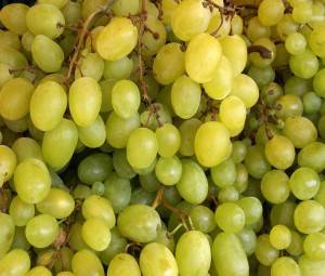 Калорийность винограда: зелёного, красного, черного