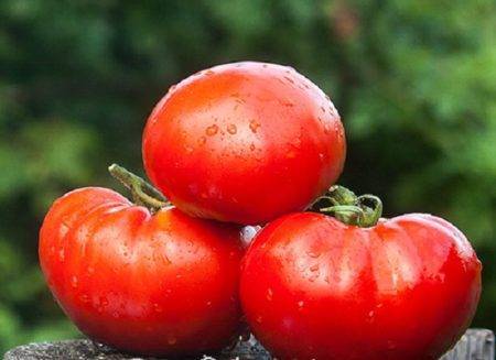 Томаты «инжир розовый» и «красный»: описание и характеристики сорта, фотографии плодов-помидоров