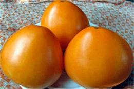 Томат оранжевое сердце: характеристика и описание сорта, выращивание и уход