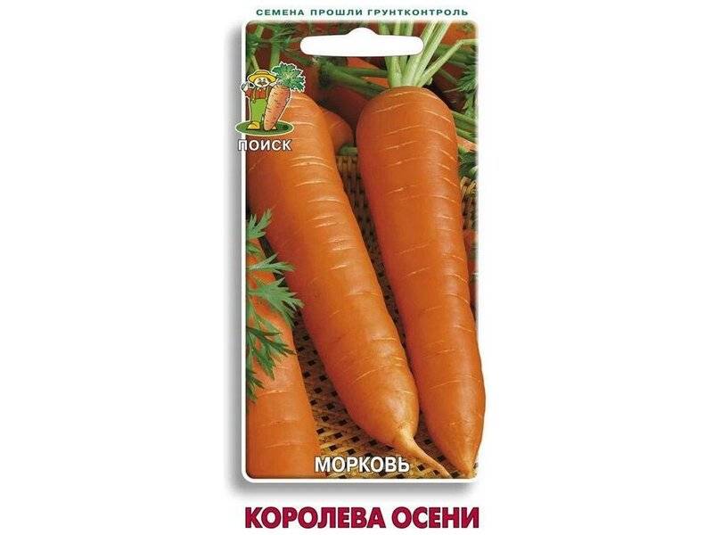 Морковь "королева осени": описание сорта , характеристика и особенности выращивания, отзывы фермеров