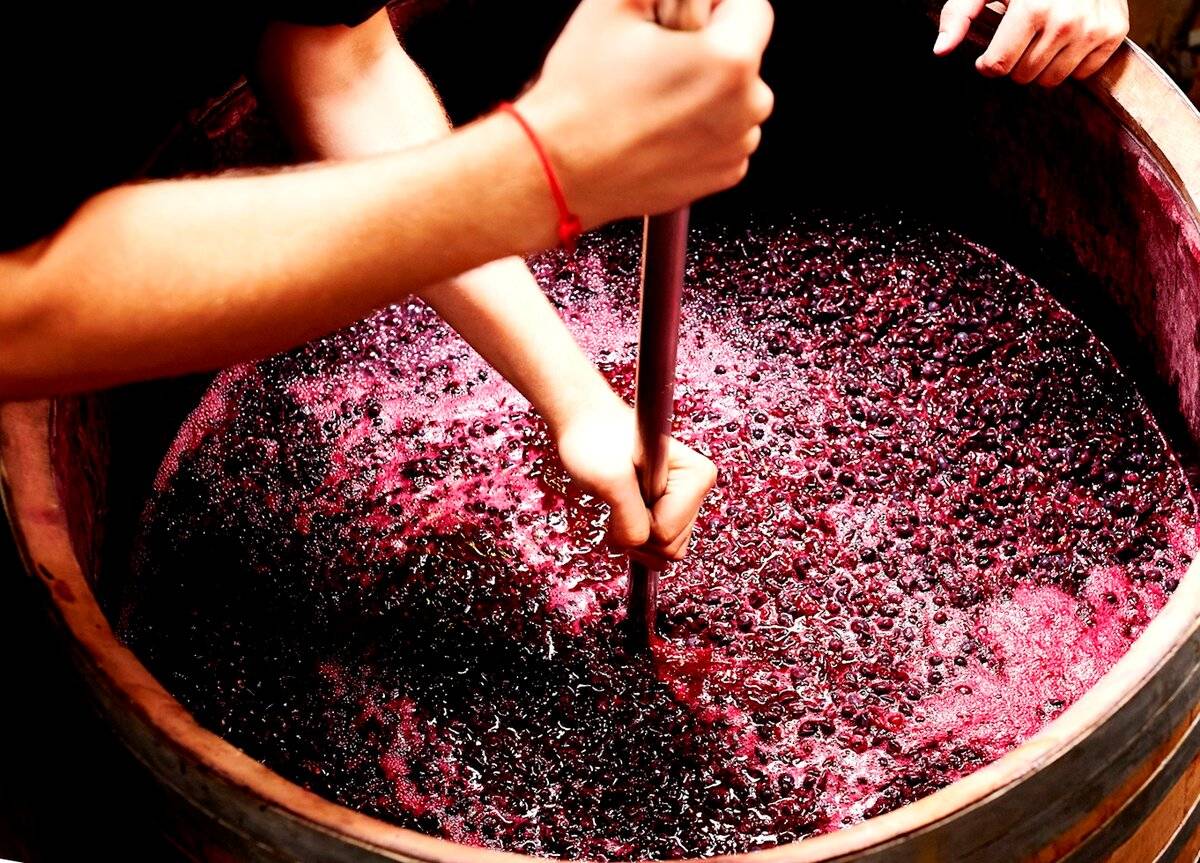 Глава 5. переработка винограда на сусло [1988 глазунов а.и., царану и.н. - технология вин и коньяков]