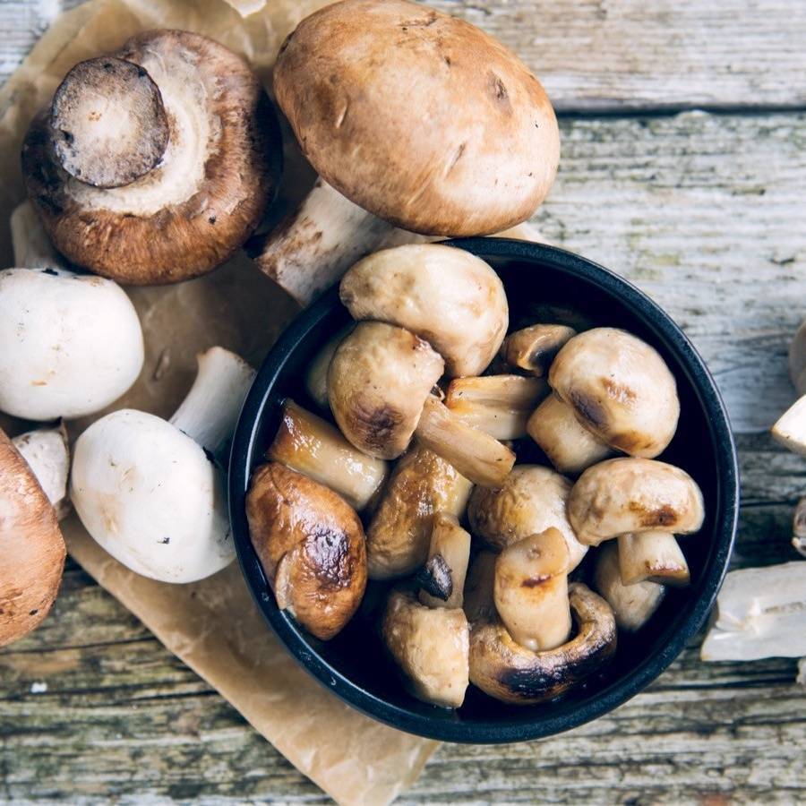Чем полезны грибы для организма — 5 научных фактов
