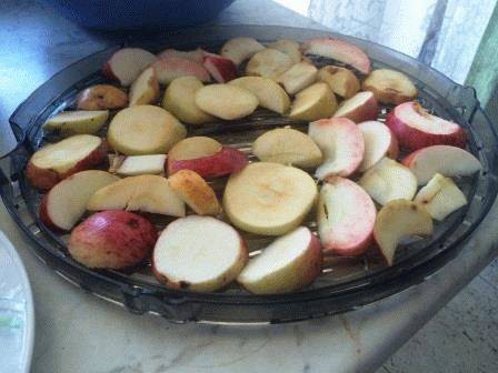Как сушить яблоки в электросушилке для фруктов: время, темпрература, рецепты