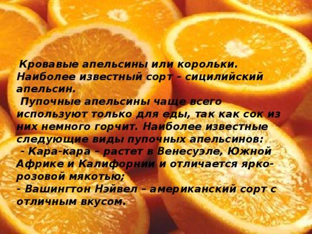 Апельсиновое дерево у вас на подоконнике: секреты ухода