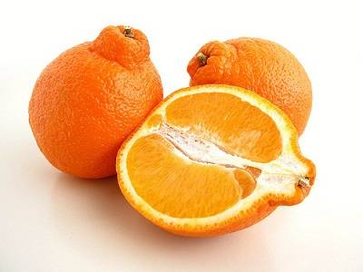 Гибрид лимона и апельсина: как называется такой цитрус