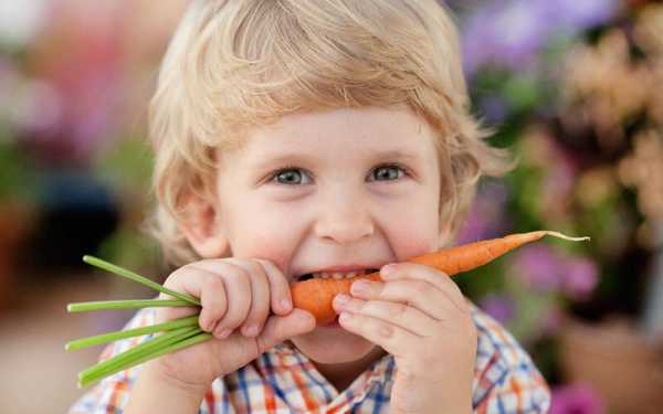 Прикорм малыша: как вводить морковь в прикорм прикорм младенца когда вводить фруктовые пюре в прикорм