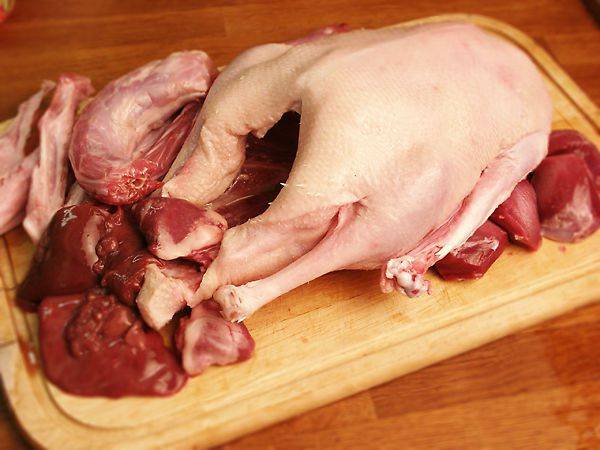 Мясо гуся - как выглядит, как выбрать, хранить и как приготовить на ydoo.info