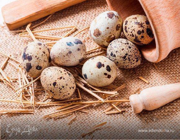 Egg guru — первый про яйца. можно ли пить перепелиные яйца сырыми. польза и вред сырых перепелиных яиц