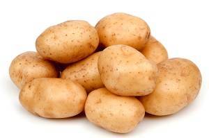 Как вырастить картофель сорта лапоть без забот