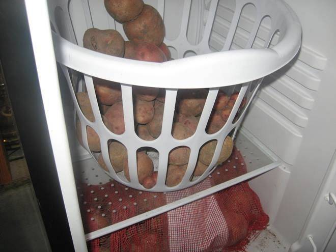 Как правильно хранить картошку в квартире, при какой температуре?