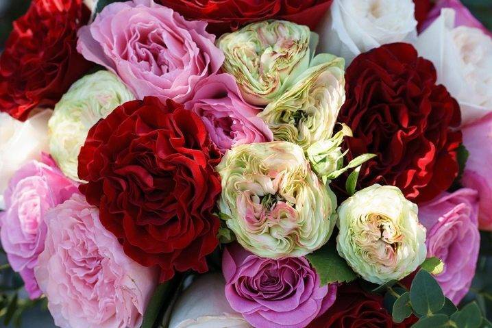Розы спрей: особенности, сорта и правила ухода