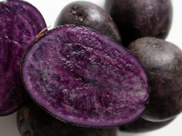 Фиолетовый картофель: характеристика и описание сорта, полезные свойства, отзывы, фото
