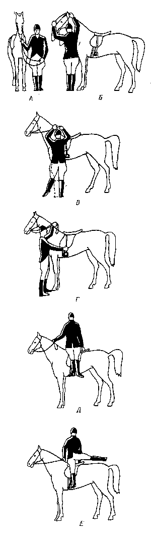 Как приподниматься во время езды рысью на лошади