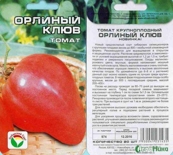 Сорта томатов: орлиный клюв