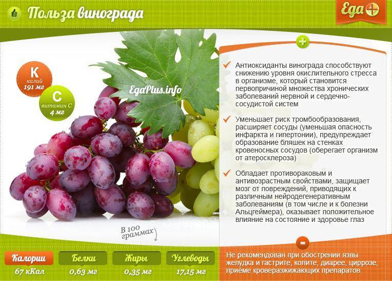 Какова калорийность винограда по сортам: состав, польза и вред для организма, бжу на 100 грамм