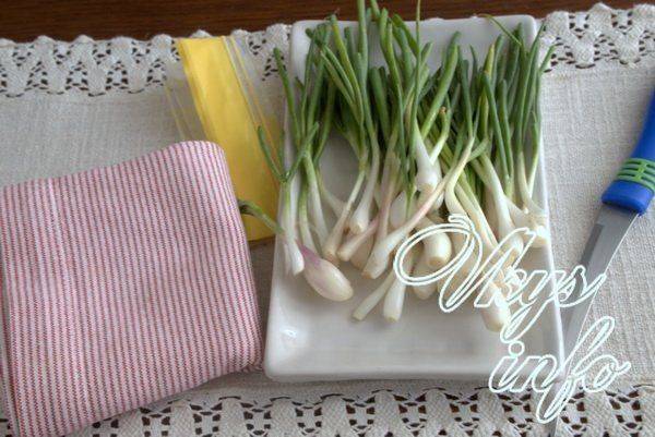 Как сохранить зеленый лук свежим в холодильнике — условия и сроки хранения. как заготовить и сохранить зеленый лук на зиму