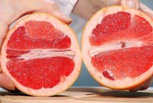 Как растет грейпфрут в домашних условиях