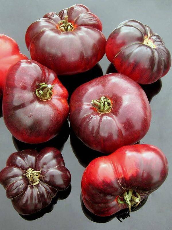 Разновидности фиолетовых помидоров