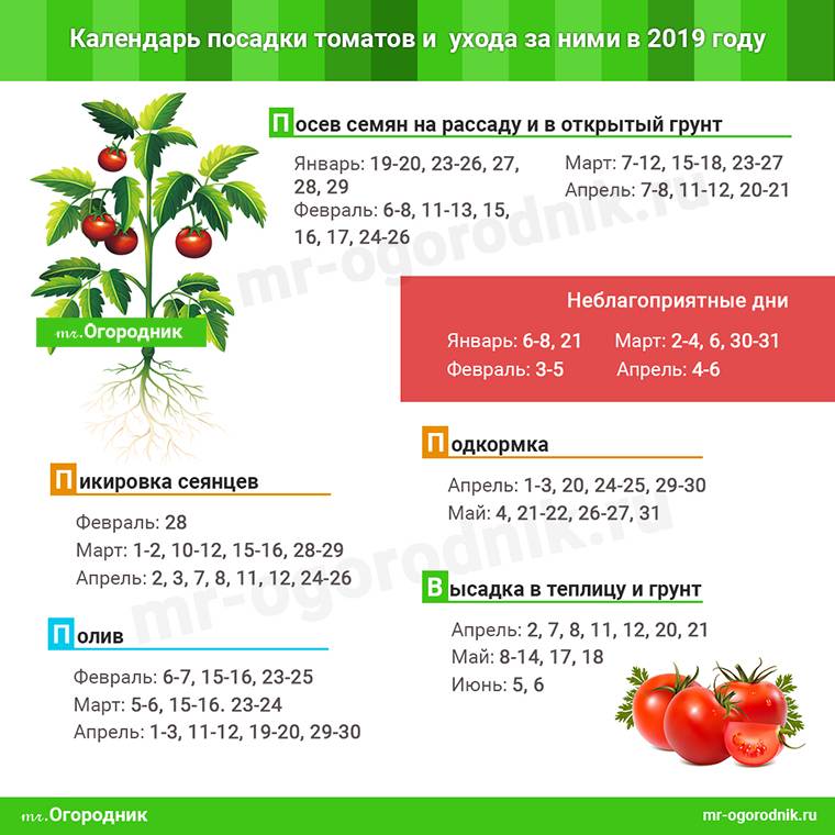 Когда пикировать томаты в марте 2021 года по лунному календарю