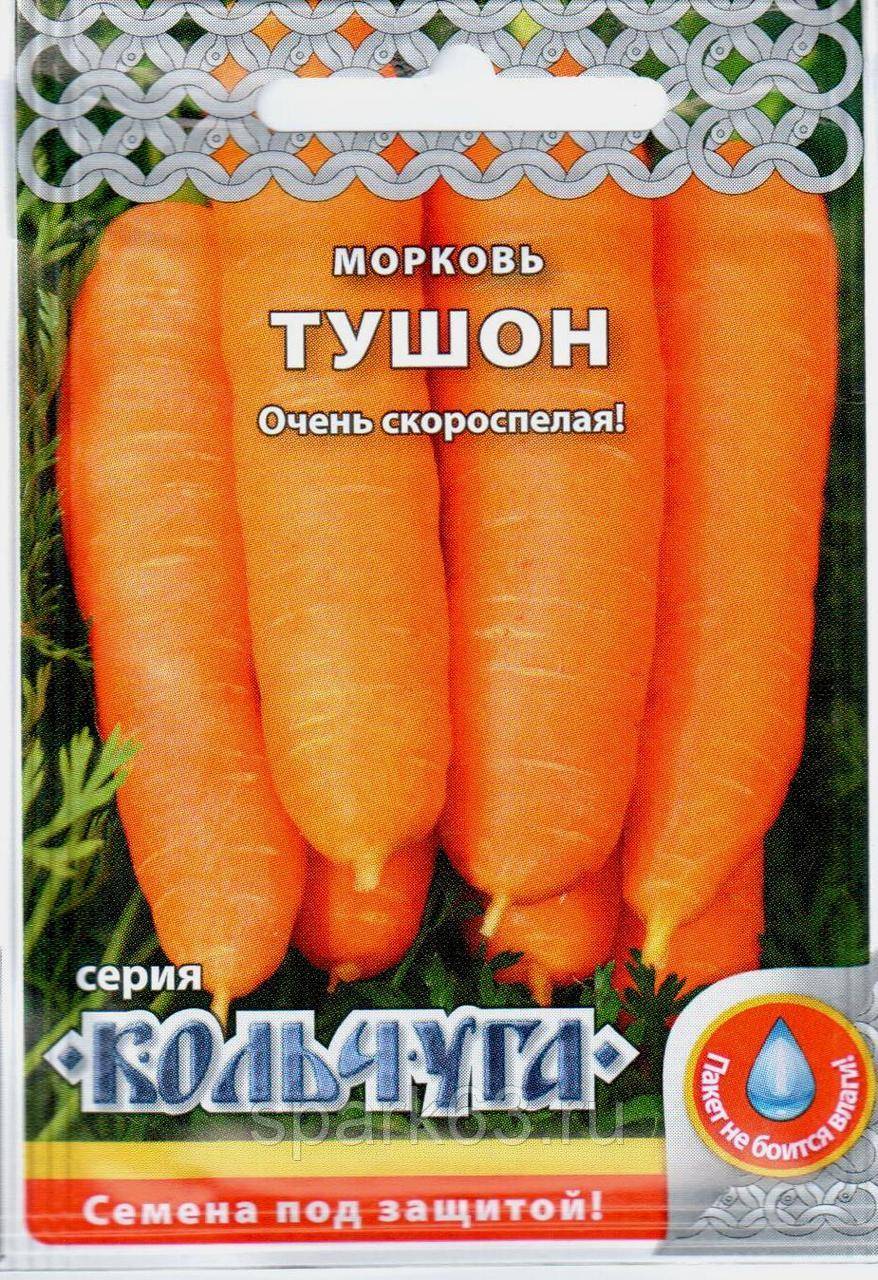 Морковь курода: описание сорта, рекомендации по выращиванию