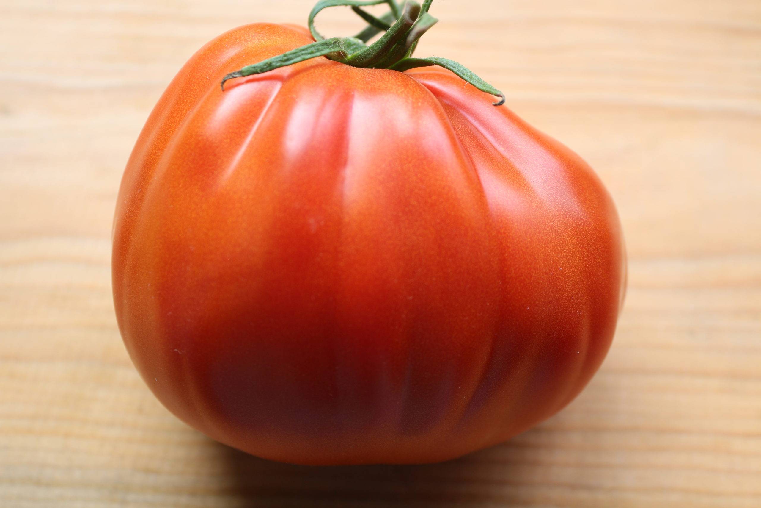 Описание сорта томат таис и его характеристика