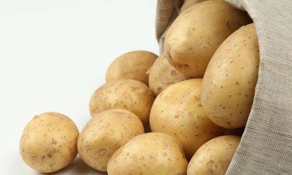 Картофель бриз | огородовед