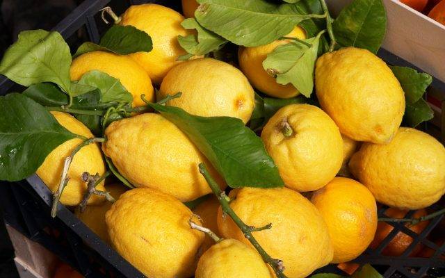 Лимон это фрукт или овощ или ягода - мечети мира