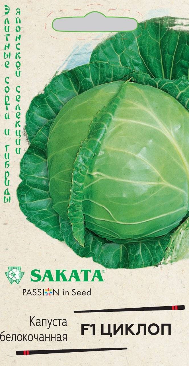 Выращивание и правильный уход за японской капустой