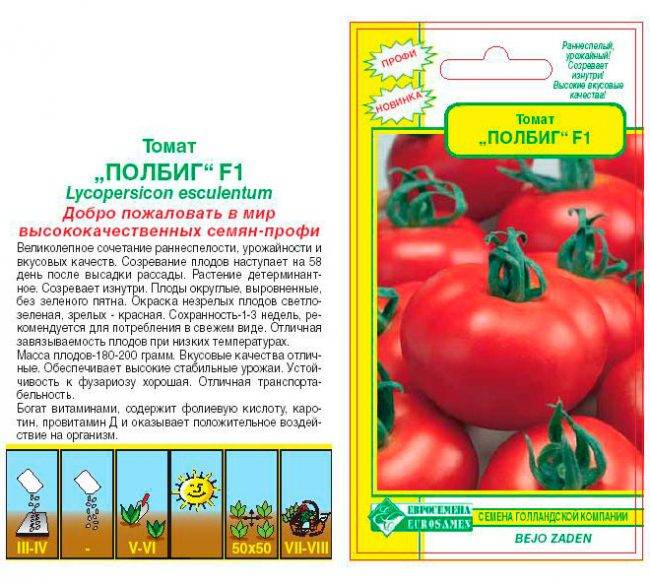 Характеристика сорта помидоров полбиг